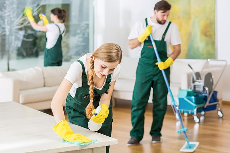 House Cleaning